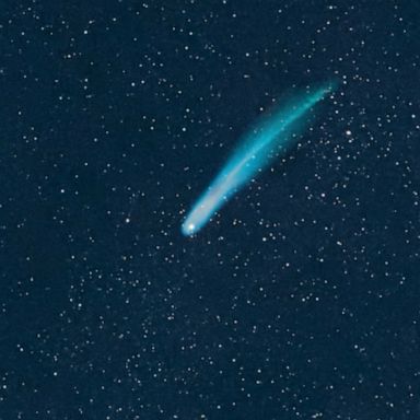 Comets are large objects made of dust and ice that orbit the sun. 