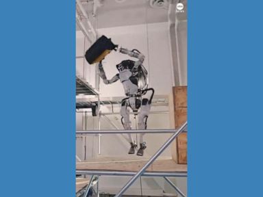 WATCH:  Boston Dynamics robot showcases new skills