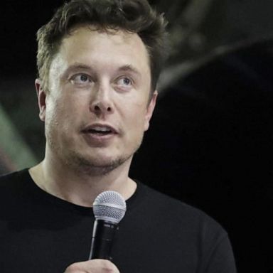 AI-enhanced systems pose significant dangers, according to a group of tech leaders, including entrepreneur Elon Musk, who signed an open letter calling for a six-month pause in the development of AI systems.