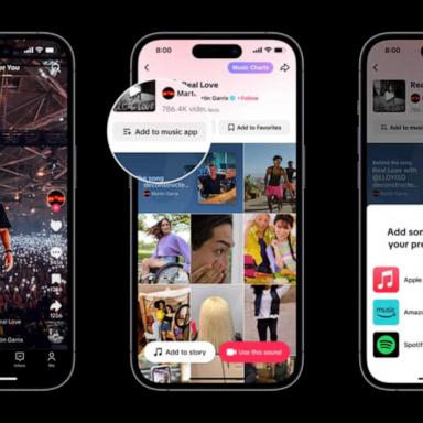 VIDEO: Tik Tok teams up with music streaming services