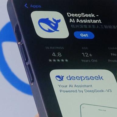 What is DeepSeek?