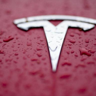 VIDEO: Tesla stock continues to fall as protesters target dealerships