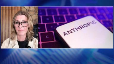 VIDEO: AI nonprofit co-founder: ‘AIs we see today represent dangers to the world’