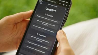 AI discovery prompts cyber emergency: What you need to know
