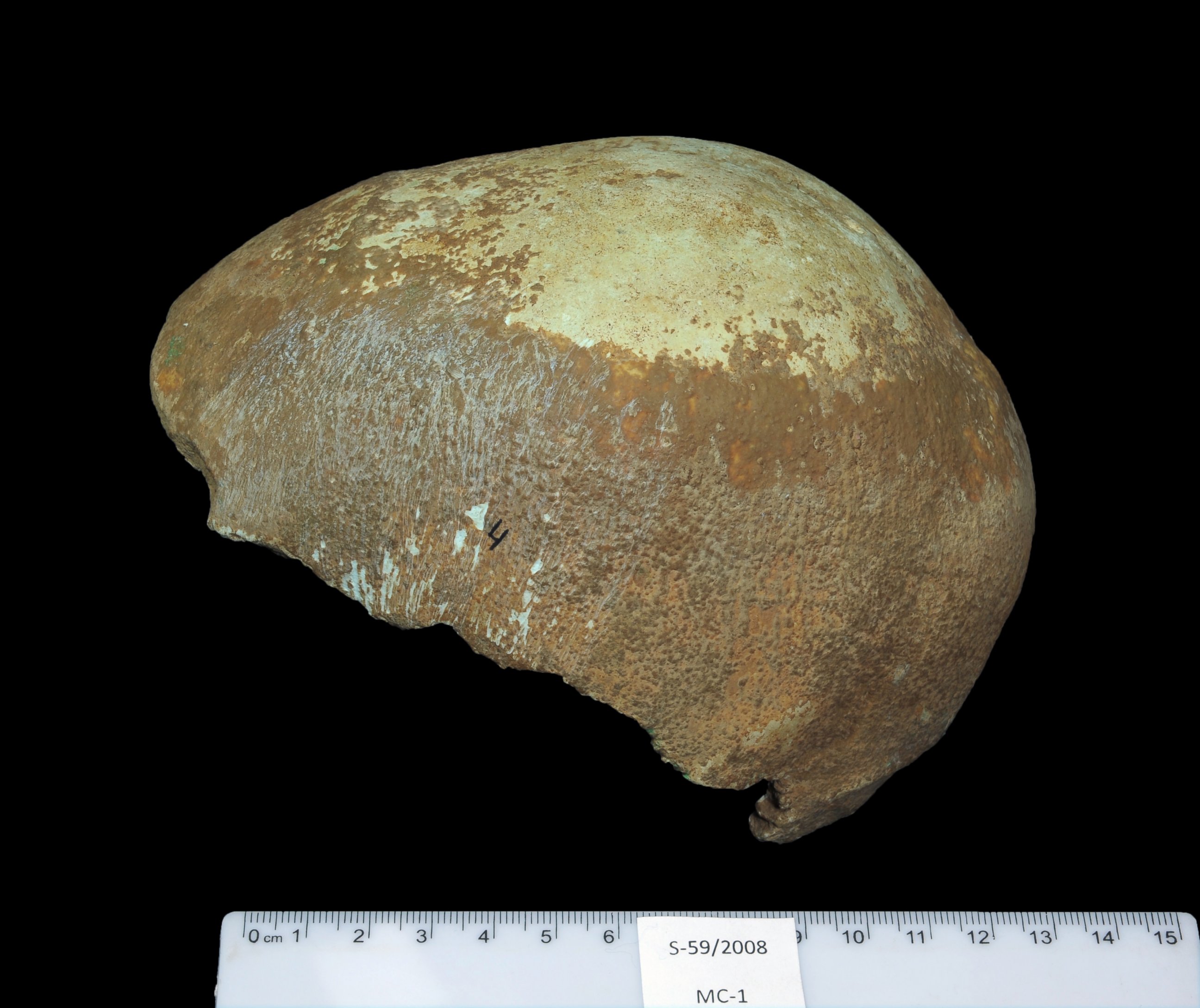 PHOTO: This undated photo provided by the Israel Antiquities Authority shows a partial human skull excavated from a cave in Israel's western Galilee region.