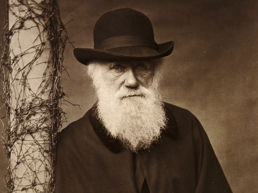 charles darwin's theory of evolution charles darwin's theory of evolution