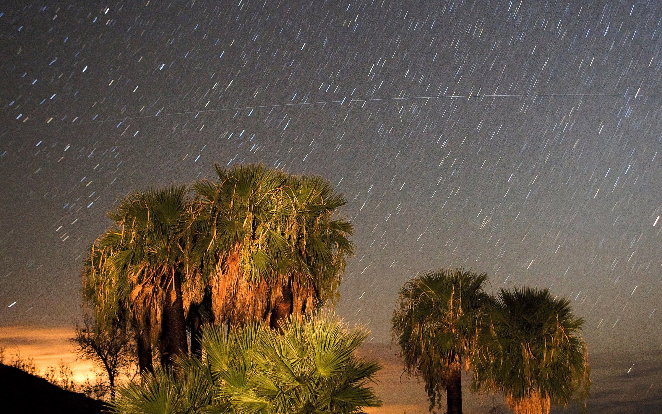 PHOTO: Perseid meteors streak across the sky, Aug. 12, 2008, near Rogers Spring in the Lake Mead National Recreation Area, Nevada. 
