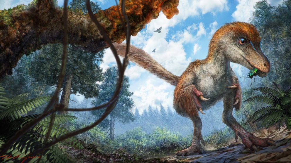 PHOTO: This reconstruction image shows a small coelurosaur approaching a resin-coated branch on the forest floor.