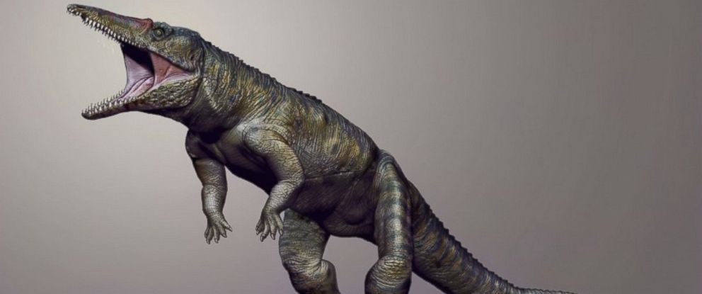 Meet The Fearsome Carolina Butcher That Ruled Before Dinosaurs Abc News