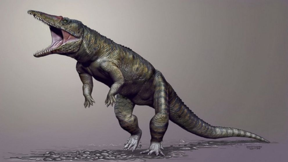 PHOTO: A life reconstruction of Carnufex carolinensis, a newly discovered crocodilian ancestor.