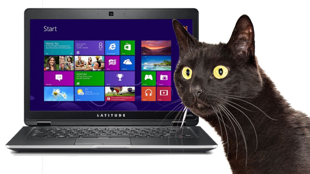 Users have complained that Dell's Latitude 6430u laptop smells like cat urine. 
