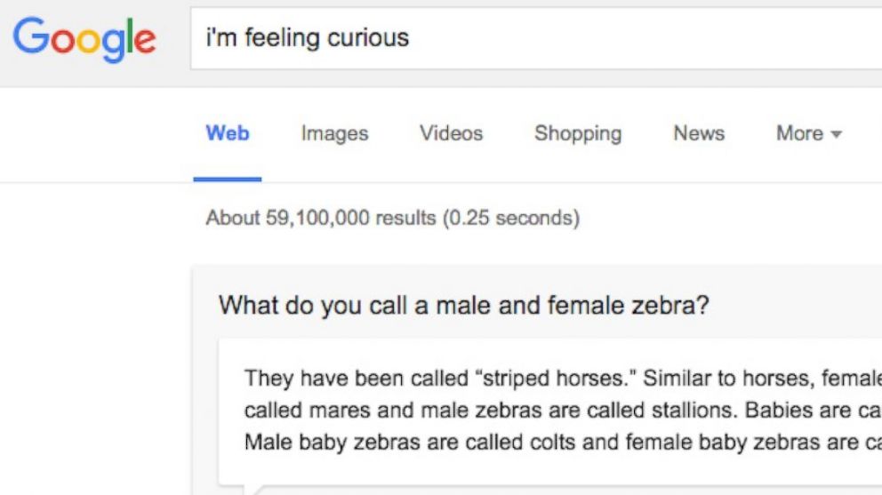 Google What Happens When You Type In I M Feeling Curious Abc News