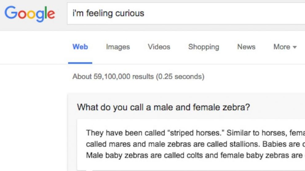 Google What Happens When You Type In I M Feeling Curious Abc News