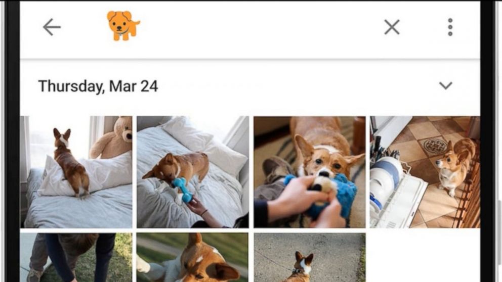 Google Photos now supports emoji search 