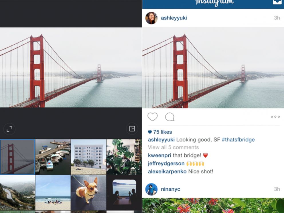 PHOTO: Instagram's latest update means photos don't have to be square. 