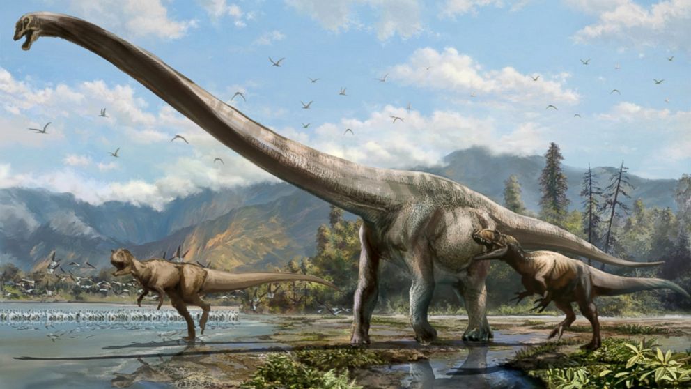 PHOTO: A newly-discovered dinosaur species in China has a neck that spans half of its body.