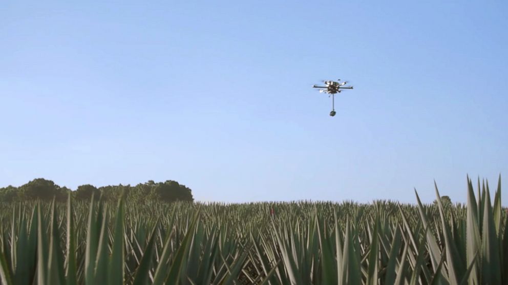 PHOTO: Patron is offering a drone's eye view tour of how their product is made.