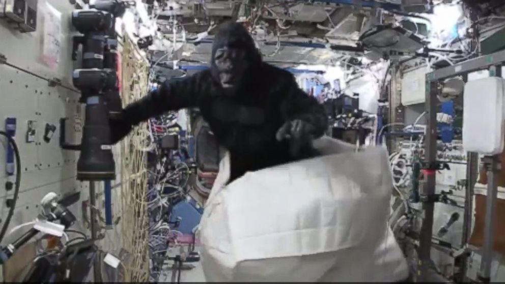 There&#39;s an &#39;Ape&#39; at the International Space Station - ABC News