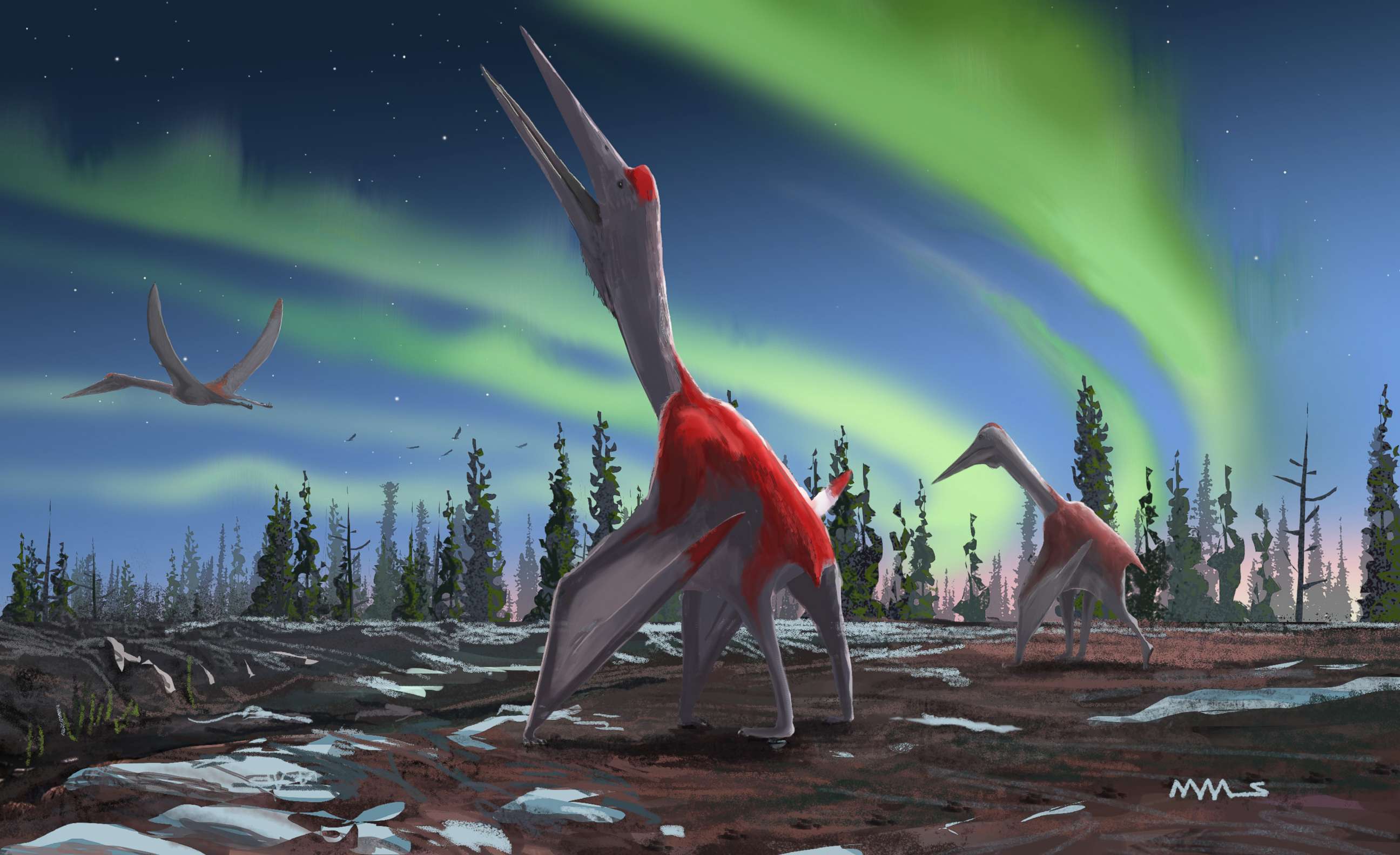 PHOTO: An illustration of what the recently discovered Cryodrakon could possibly look like. 