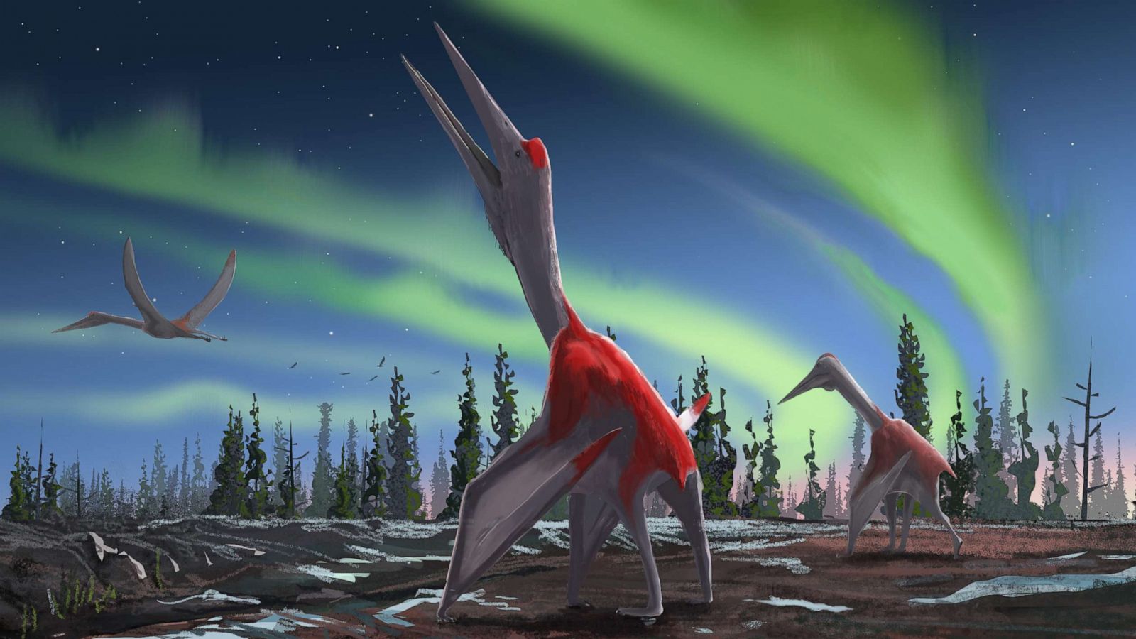 Pterodactyl Dinosaur: Size, Wingspan, Habitat And Other Facts