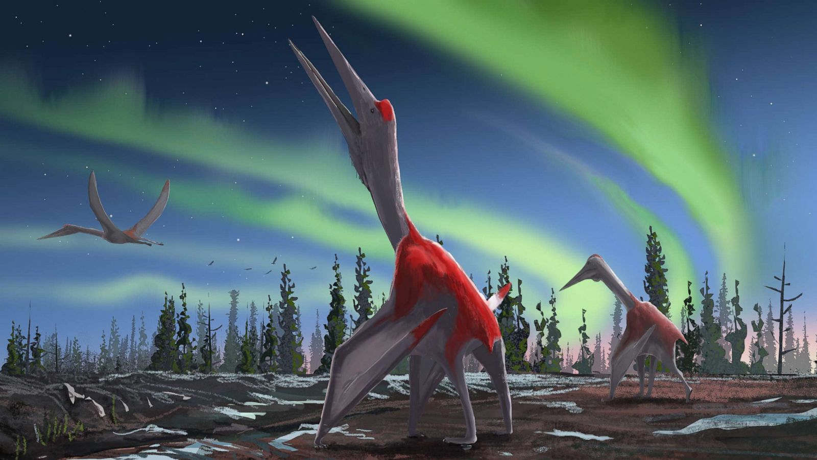 Remains of 'world's largest Jurassic pterosaur' recovered in