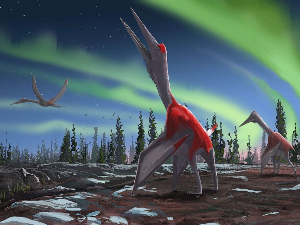 PHOTO: An illustration of what the recently discovered Cryodrakon could possibly look like.