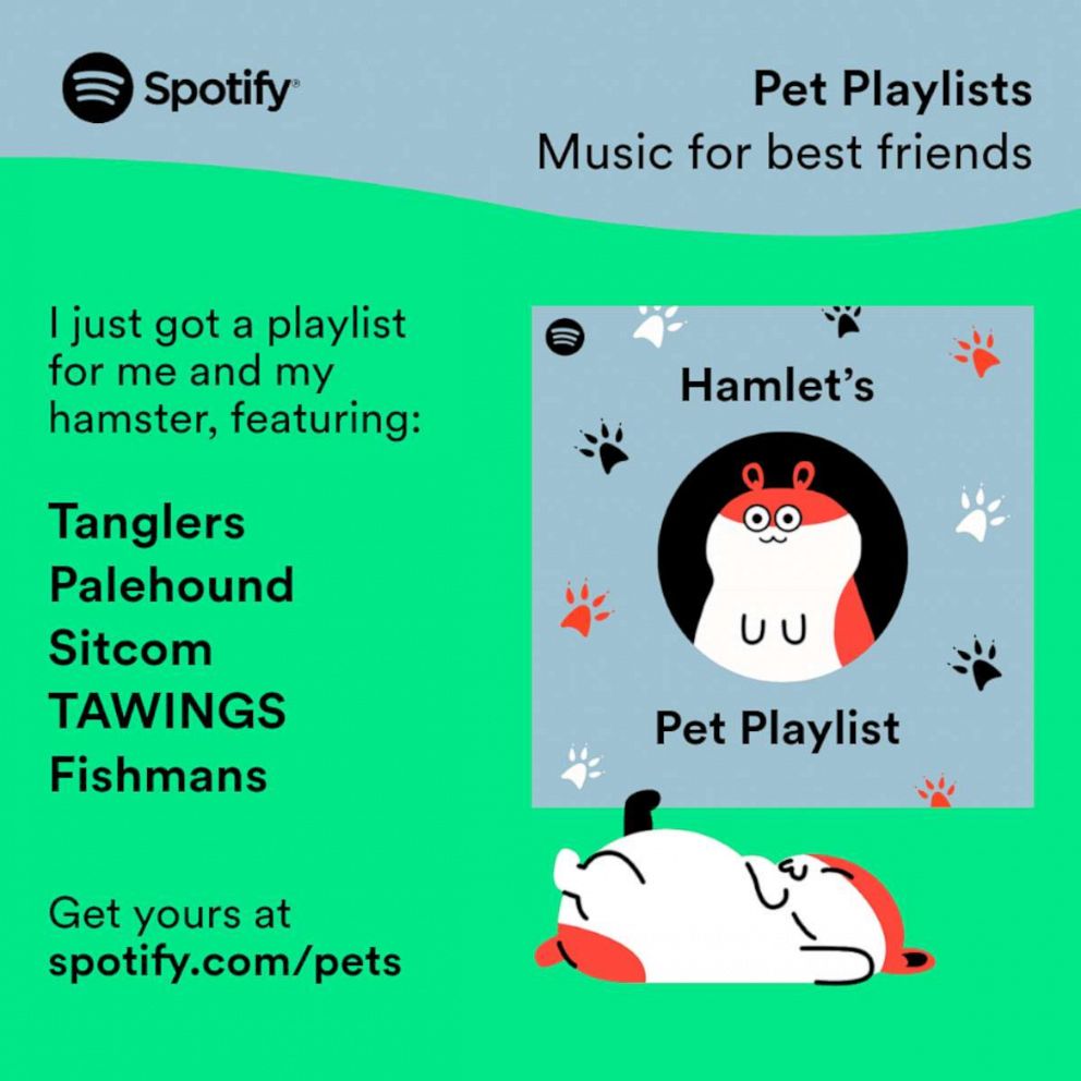 PHOTO: Spotify has launched a new playlist feature for pet owners.
