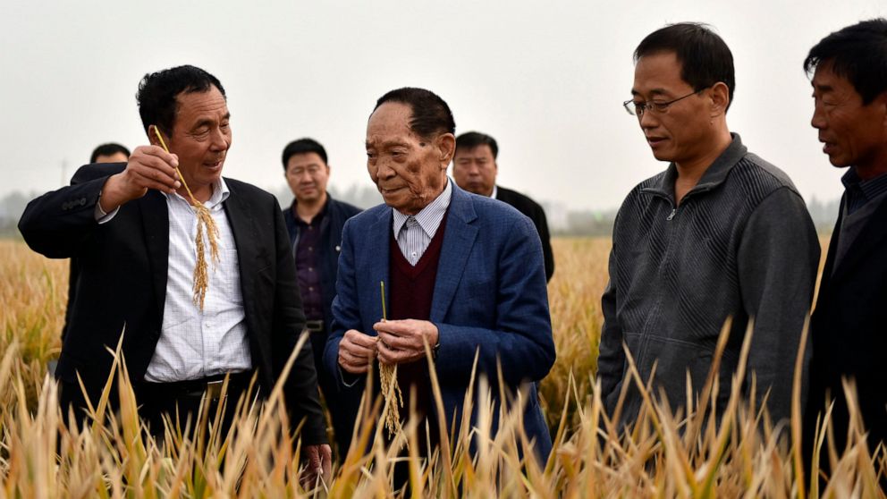 China's Yuan Longping, 'Father of Hybrid Rice,' dies at 91