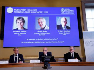 Nobel Prize for 3 chemists who made molecules 'click' thumbnail