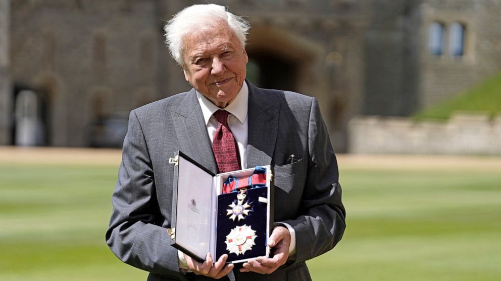 FILE - Sir David Attenborough poses for a photo after being appointed a Knight Grand Cross of the Order of St Michael and St George following an investiture ceremony at Windsor Castle, in Windsor, England, June 8, 2022. A fossil of a 560-million-year