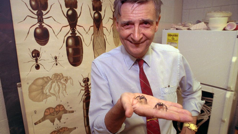 Edward O. Wilson, biologist known as 'ant man,' dead at 92