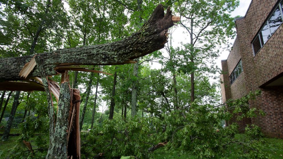 A snapped tree trunk lays near the entrance of Lenape Valley Regional High School in Stanhope, N.J. on Wednesday, May 29, 2019. Lenape Valley Regional High School is closed Wednesday after a storm damaged its facade and ripped up a dugout from its ba