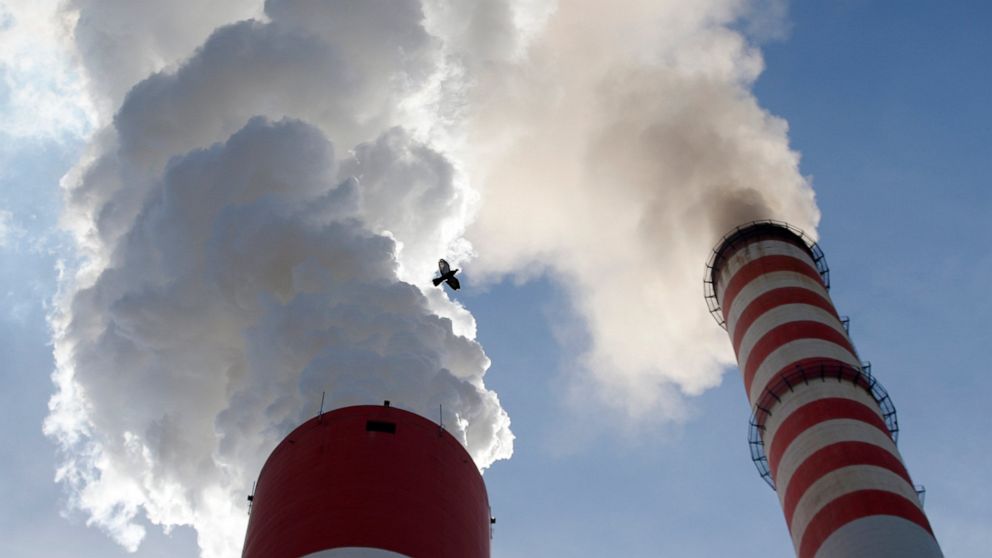 FILE - In this Wednesday, Oct. 3, 2018 file photo, a bird flies past as smoke emits from the chimneys of Serbia's main coal-fired power station near Kostolac, Serbia. People in all major cities across the Western Balkans face alarming levels of air p