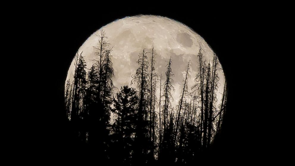 FILE - In this Nov. 14, 2016 file photo, evergreen trees are silhouetted on the mountain top as a supermoon rises over over the Dark Sky Community of Summit Sky Ranch in Silverthorne, Colo., Monday, Nov. 14, 2016. A supermoon will rise in the sky Tue