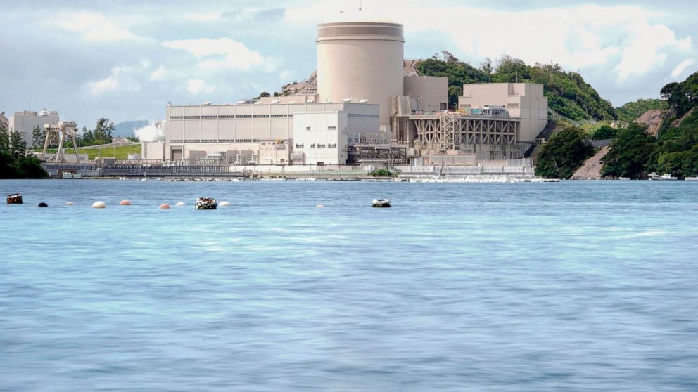 Japanese nuclear reactor