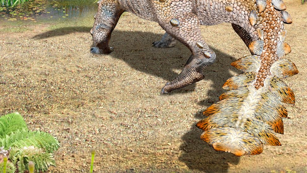 This illustration provided by Mauricio Alvarez shows a Stegouros. Fossils found in Chile are from the bizarre dog-sized dinosaur species that had a unique slashing tail weapon, scientists reported Wednesday, Dec. 1, 2021. (Mauricio Alvarez via AP)
