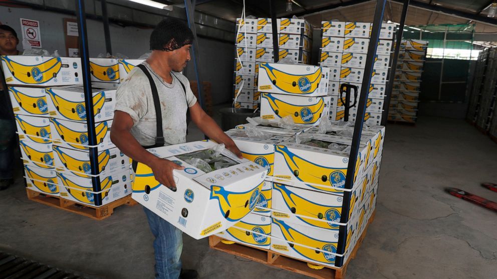 FILE - In this May 31, 2019 file photo, =a worker stacks a box of freshly harvested Chiquita bananas to be exported, at a farm in Ciudad Hidalgo, Chiapas state, Mexico. President Donald Trump plans to impose 5% tariffs on Mexican imports starting Jun
