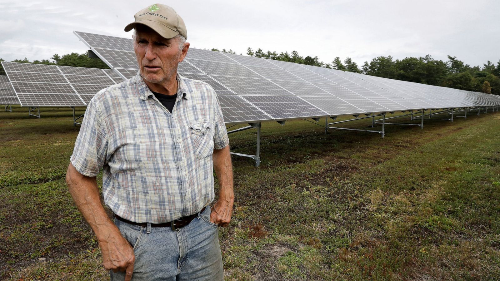 Cranberry Farmers Want To Build Solar Panels Over Their Bogs Abc News