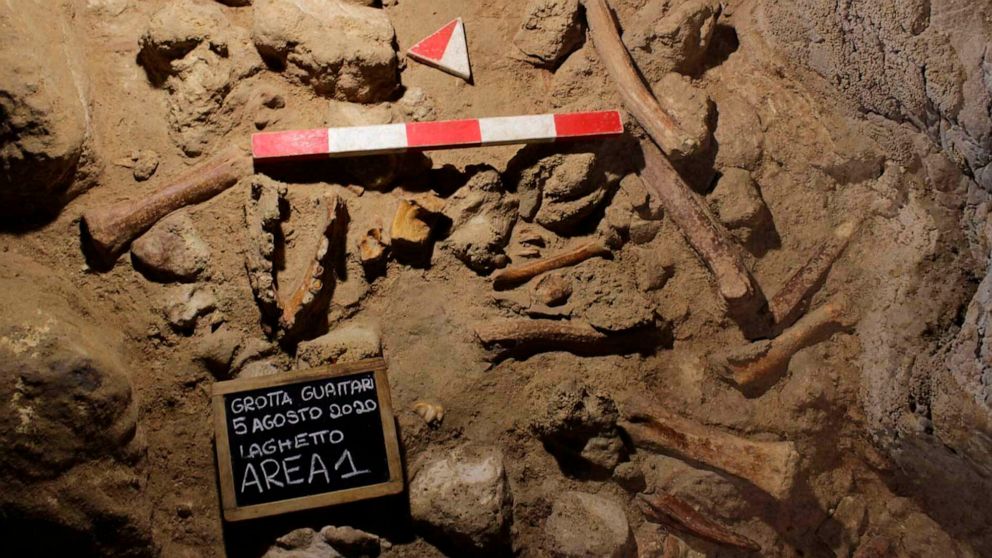 Archaeologists discover remains of 9 Neanderthals near Rome