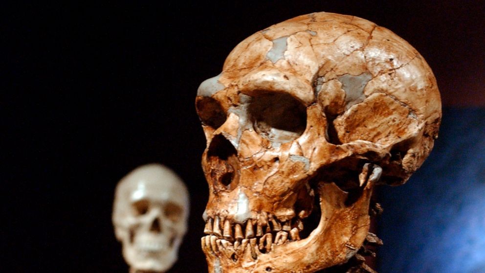 Just 7% of our DNA is unique to modern humans, study shows