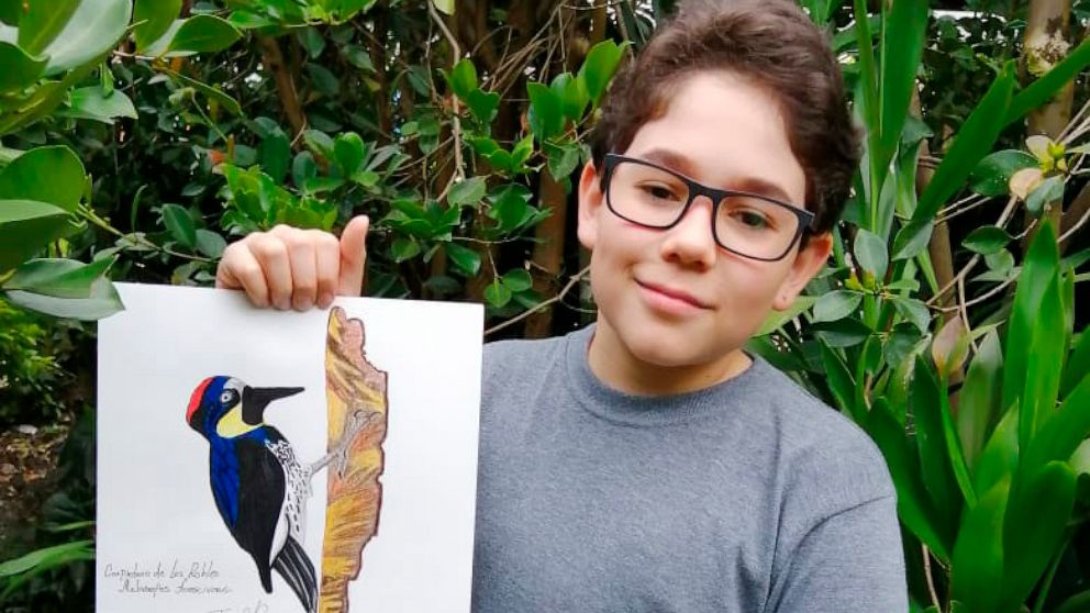 In this Aug. 2020 photo provided by Johana Reyes Herrera, Jacobo Rendon, 14, poses with his illustration of an Acorn Woodpecker in his backyard in El Camino de Viboral, Colombia. Rendon has been working on a photographic and illustrated bird guide th