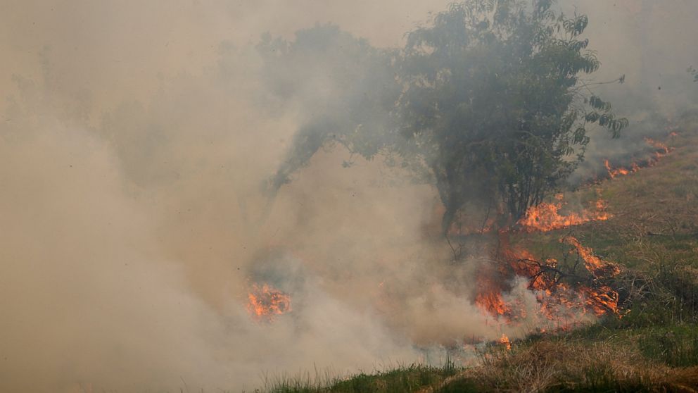 Aldeias Combatem Incêndios Florestais em Portugal;  A Europa está em chamas