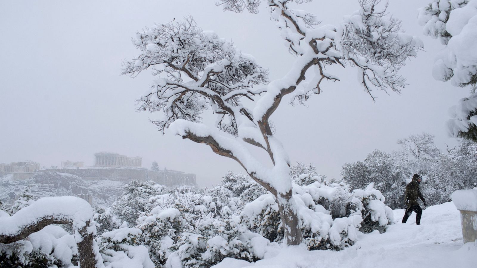 Explainer Topsy Turvy Weather Comes From Polar Vortex Abc News