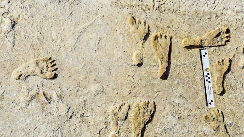 Las huellas humanas más antiguas de América del Norte encontradas en Nuevo México