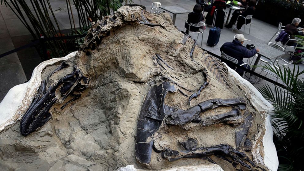 Court says dinosaur fossils worth millions aren't minerals