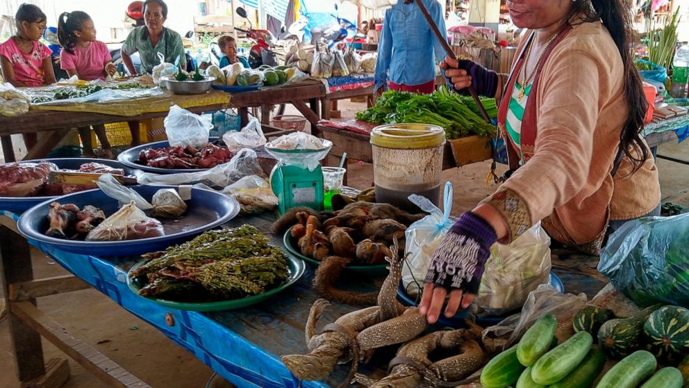 In this undated photo released by the World Wildlife Fund, a woman displays monitor lizards, squirrels and wild birds for sale at an open air market in Attapeu, Laos. A report released by the World Wildlife Fund, Friday, April 1, 2022, shows illegal 