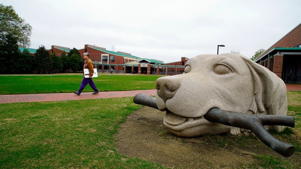 In this March 24, 2020, photo, a woman walks past a dog sculpture on the campus of the North Carolina State University College of Veterinary Medicine in Raleigh, N.C. The school is one of several vet schools around the country that have donated breat