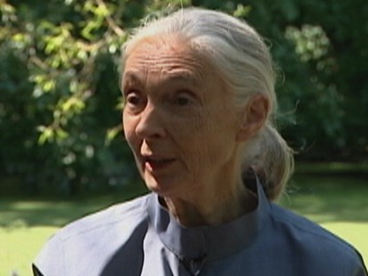 VIDEO: Jane Goodalls discoveries