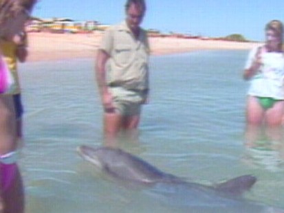 VIDEO: Thinking about thinking with Eugene Linden and other animals part two.