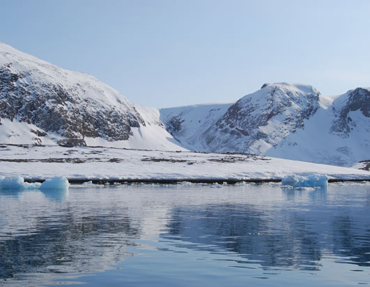 Artic Picture | See the Arctic Up Close - ABC News